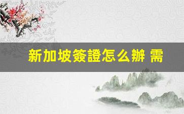 新加坡簽證怎么辦 需要什么(新加坡簽證怎么辦理在哪里辦)